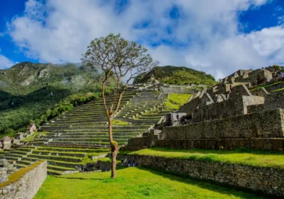 Machu Picchu Full Day