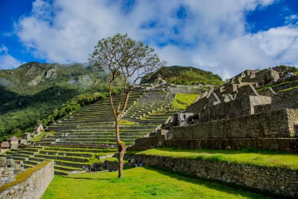 Machu Picchu Full Day