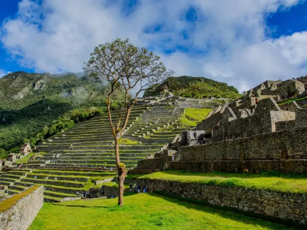 Machu Picchu Full Day